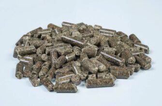 Шейпінг: як досягти ідеальної форми тіла та покращити здоров’я