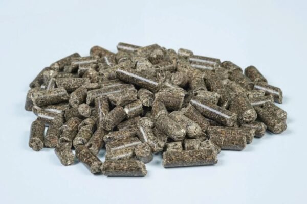 Шейпінг: як досягти ідеальної форми тіла та покращити здоров’я