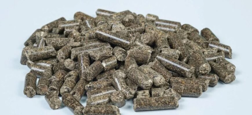 Шейпінг: як досягти ідеальної форми тіла та покращити здоров’я Шейпінг: як досягти ідеальної форми тіла та покращити здоров’я