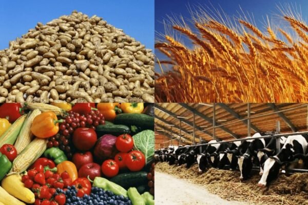 Що таке ритейл: Визначення, особливості та вплив на економіку