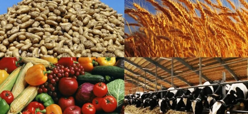 Що таке ритейл: Визначення, особливості та вплив на економіку