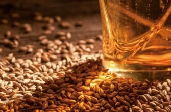 Тайфун: визначення, характеристики та вплив на природне середовище