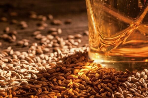 Тайфун: визначення, характеристики та вплив на природне середовище