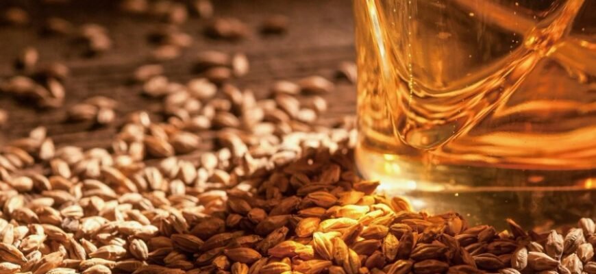 Тайфун: визначення, характеристики та вплив на природне середовище