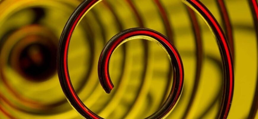 Амарант: Корисні властивості та застосування у вашому раціоні Амарант: Корисні властивості та застосування у вашому раціоні