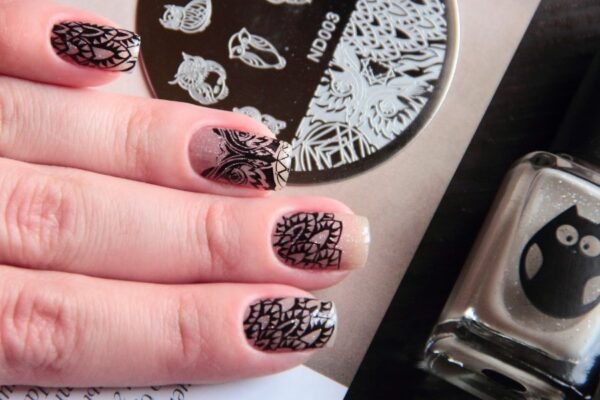 Українська рута: символ традицій, оберегів та духовної спадщини Українська рута: символ традицій, оберегів та духовної спадщини