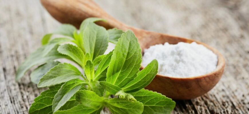 Художні засоби: ефективні методи використання в літературі та мистецтві