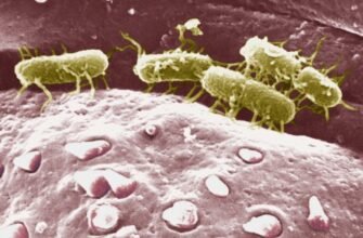 “Моноблоки 2023: Як обрати оптимальне рішення для вашого офісу”