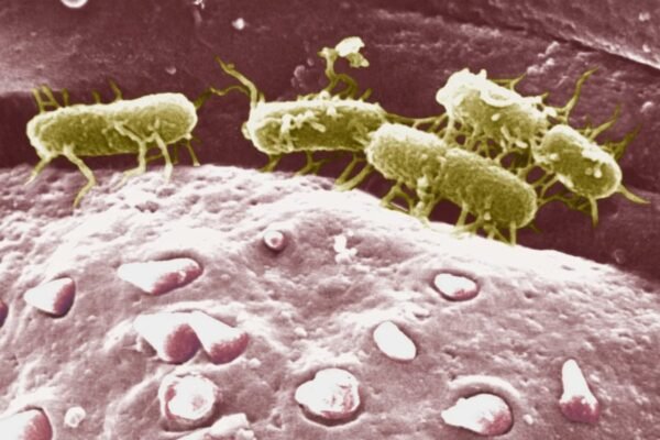 “Моноблоки 2023: Як обрати оптимальне рішення для вашого офісу” “Моноблоки 2023: Як обрати оптимальне рішення для вашого офісу”