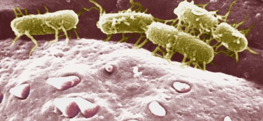 “Моноблоки 2023: Як обрати оптимальне рішення для вашого офісу” “Моноблоки 2023: Як обрати оптимальне рішення для вашого офісу”