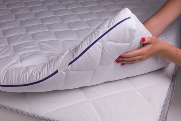 Відкрийте користь мангольду: вирощування, рецепти та поради догляду