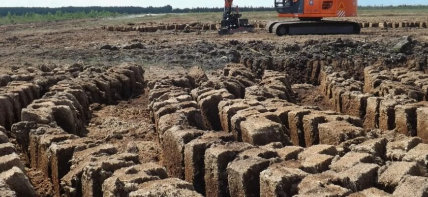 Що таке рана: визначення, види та ефективні методи лікування