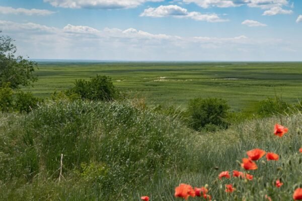 Що таке абсолютна вологість повітря: визначення, вимірювання, вплив
