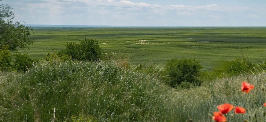 Що таке абсолютна вологість повітря: визначення, вимірювання, вплив