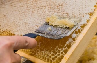 Сувеніри з України: Що привезти з подорожі для друзів і рідних