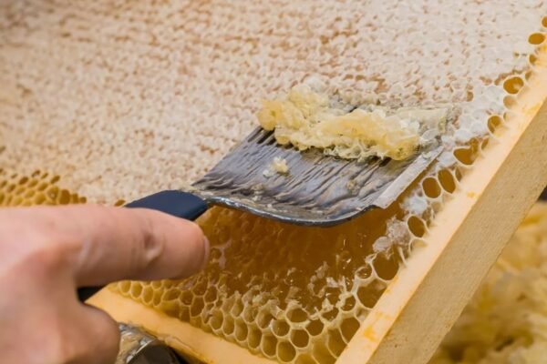 Сувеніри з України: Що привезти з подорожі для друзів і рідних Сувеніри з України: Що привезти з подорожі для друзів і рідних