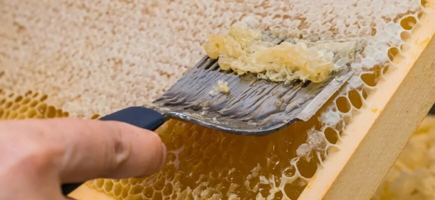 Сувеніри з України: Що привезти з подорожі для друзів і рідних