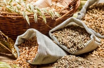 Тремор: причини, види та методи лікування тремтіння кінцівок