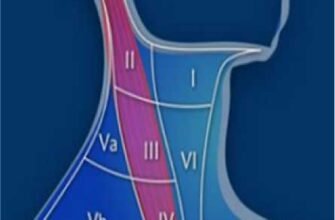 Гулька на шиї у дитини: причини, діагностика та лікування