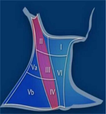 Гулька на шиї у дитини: причини, діагностика та лікування