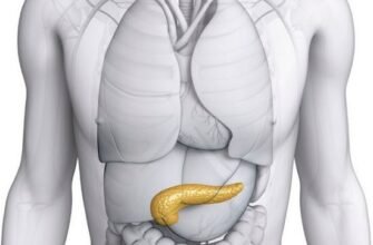 Дифузні зміни паренхіми підшлункової залози: причини та лікування