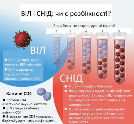 У чому різниця між ВІЛ та СНІД: ключові відмінності та симптоми
