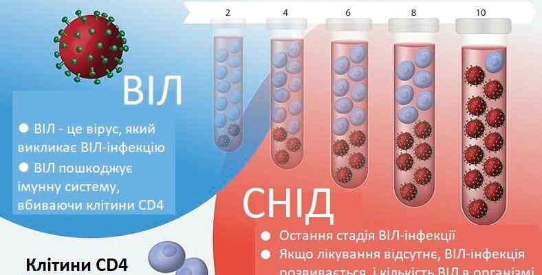 У чому різниця між ВІЛ та СНІД: ключові відмінності та симптоми