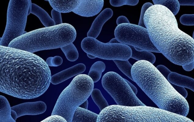 Внутрішньолікарняні інфекції: причини, профілактика та наслідки