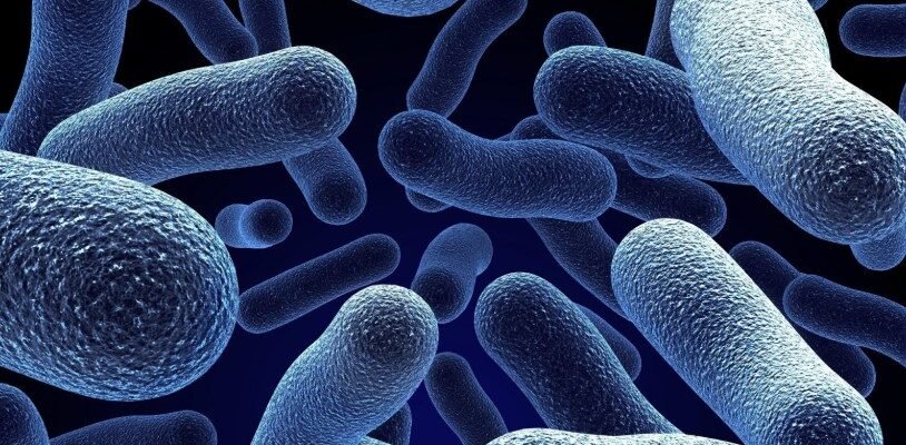 Внутрішньолікарняні інфекції: причини, профілактика та наслідки Внутрішньолікарняні інфекції: причини, профілактика та наслідки