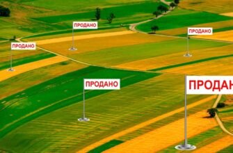 Чи можна продати пай: законодавчі нюанси та поради експертів