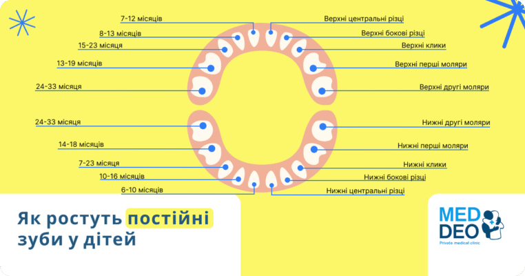 Скільки зубів у дитини 1-2 років: повний гід для батьків