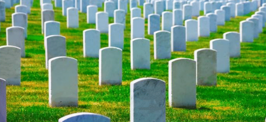 Чим відрізняються цвинтар і кладовище? Основні відмінності понять