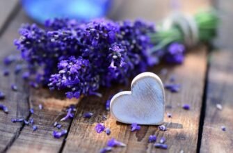 46 років разом: Яке весілля святкувати та як його відзначити?