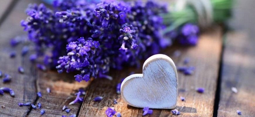 46 років разом: Яке весілля святкувати та як його відзначити?