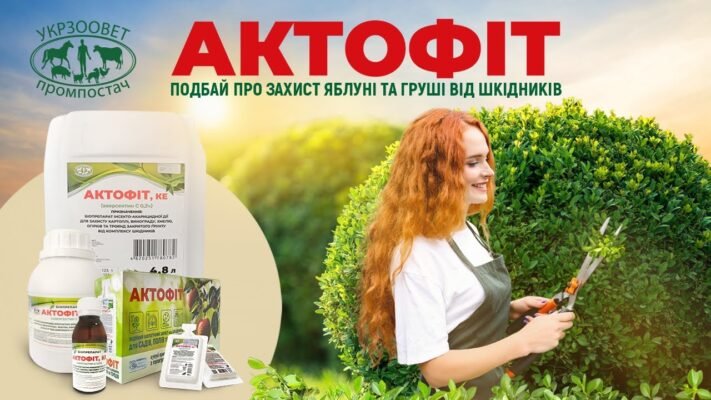 Актофіт: від яких проблем захищає та як застосувати препарат?