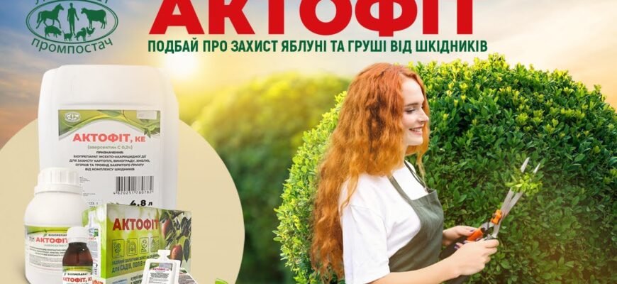 Актофіт: від яких проблем захищає та як застосувати препарат?