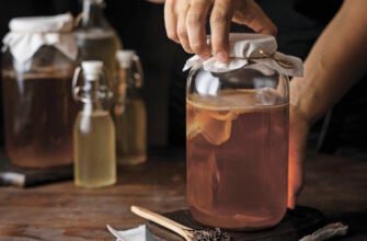 Чайний Гриб: Відкрийте Його Корисні Властивості та Здоров’я