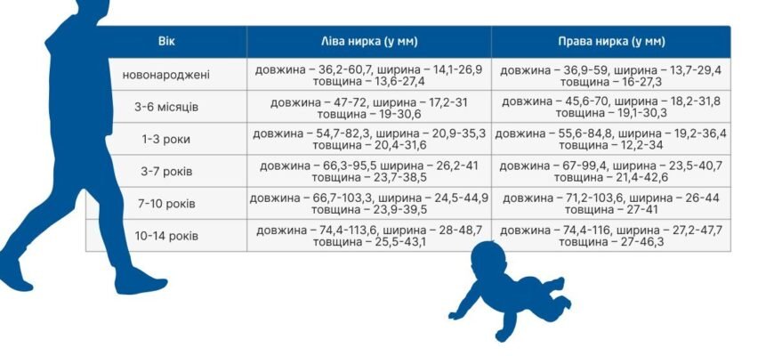 Через скільки років дозволено підхоронення: правові норми України