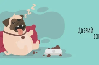 Чому розвивати силу волі важливо для успіху та особистого зростання