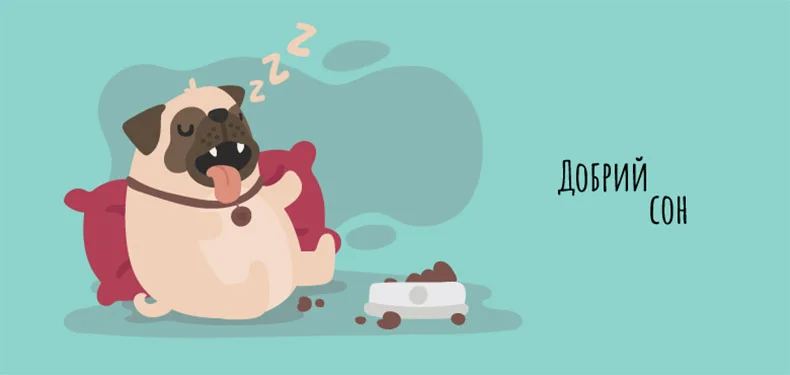 Чому розвивати силу волі важливо для успіху та особистого зростання