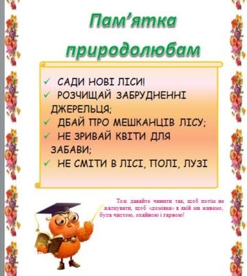Чому важливо берегти природу: роздуми школяра для 6 класу