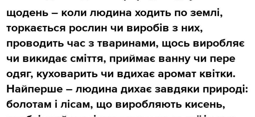 Чому важливо берегти природу: твір-роздум для 5 класу про екологію