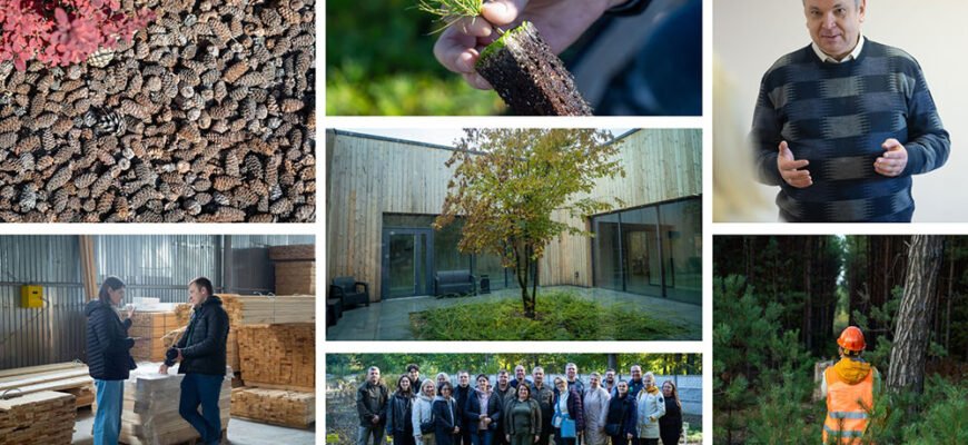 Чому важливо садити дерева: екологічні та економічні переваги