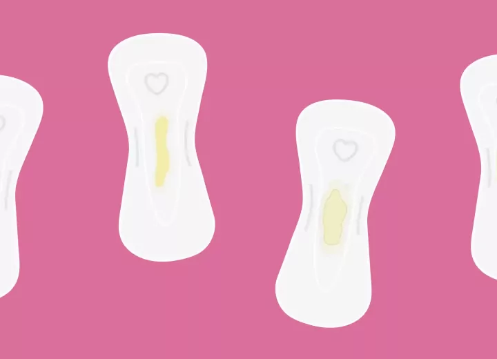 Коли з'являються перші місячні — блог медичного центру ОН Клінік