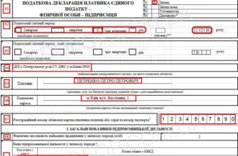 Чи варто подавати пусту декларацію з єдиного податку: роз’яснення експертів