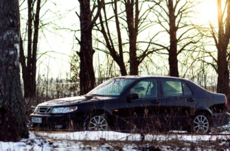 Чи варто прогрівати дизельний двигун влітку: важливі поради та факти