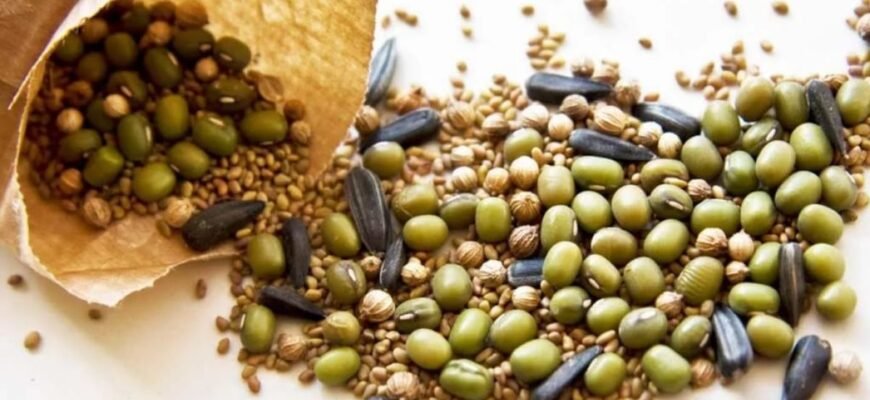 Чи варто замочувати насіння кукурудзи перед посадкою: корисні поради