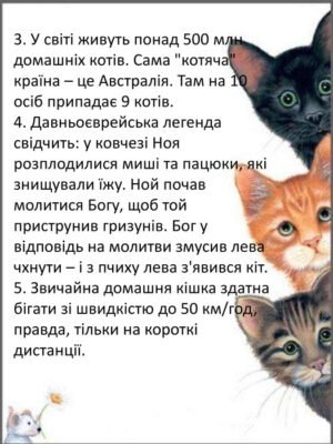 Дізнайся більше: цікаві та веселі факти про котів для дітей