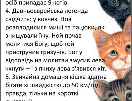 Дізнайся більше: цікаві та веселі факти про котів для дітей