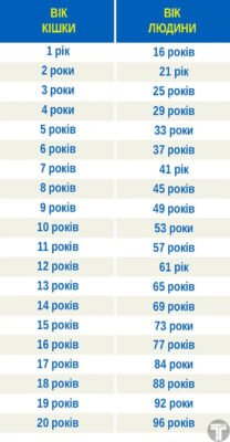 Дізнатися свій точний вік: як швидко відповісти на Скільки мені років?